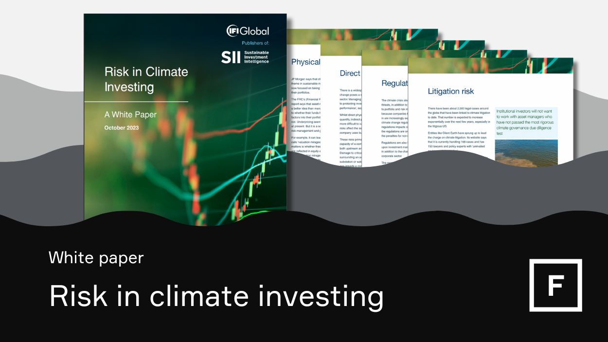 Risk in climate investing - White paper download - IFI Global and Fathom